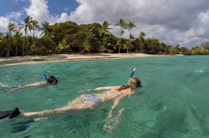 Admission Ticket to Coral World & Coki Point Beach with Snorkeling - Two Caribbean attractions in one compact stop