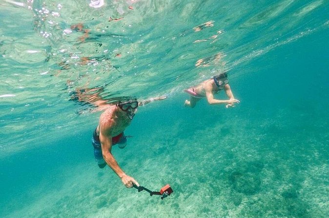 Admission Ticket to Coral World & Coki Point Beach with Snorkeling - Is the $40 ticket a good deal?