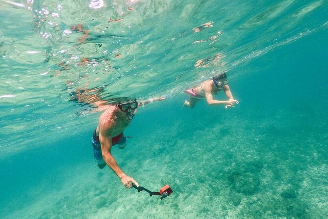 Admission Ticket to Coral World & Coki Point Beach with Snorkeling - What Coki Point Beach adds to the day