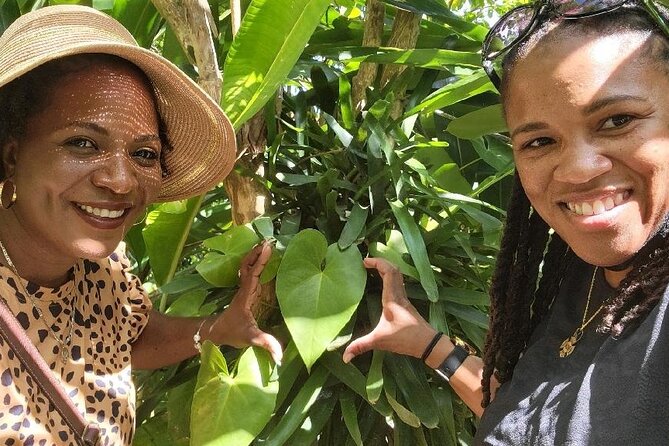 Best Jeep Tour of ST.Thomas Virgin Islands - Mountain Top combines shopping with a famous drink