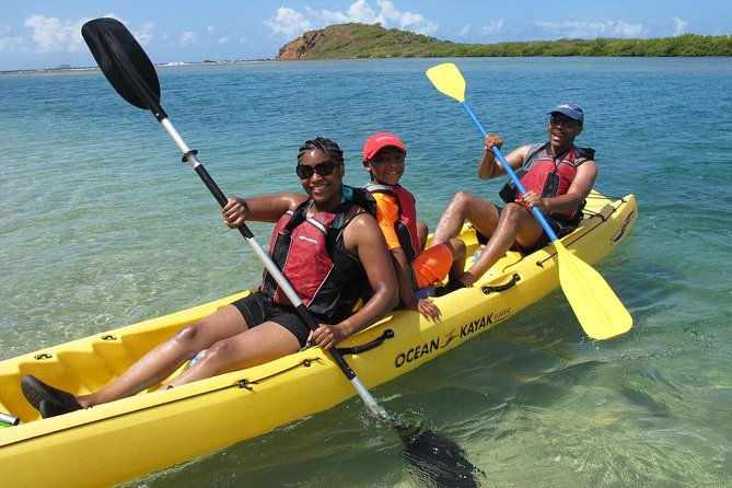 Best of Mangrove Lagoon Kayak, Hike and Snorkel Adventure with Picnic Lunch - Key points at a glance