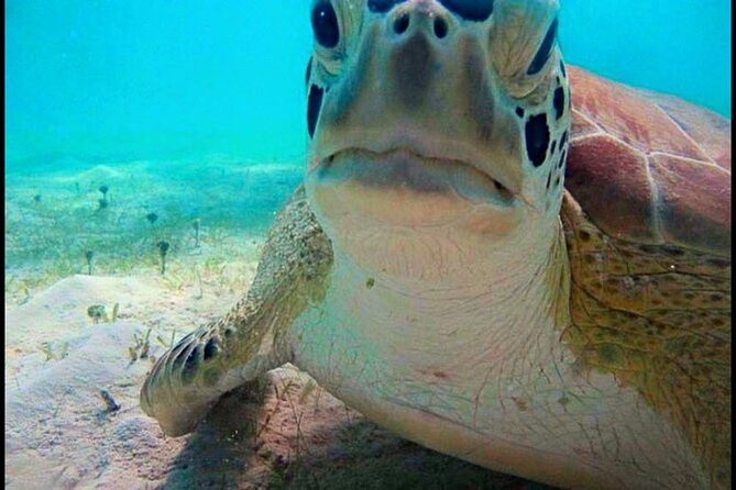 Cas Cay - Kayak Hike and Snorkel Adventure - Who Will Enjoy This St. Thomas Adventure