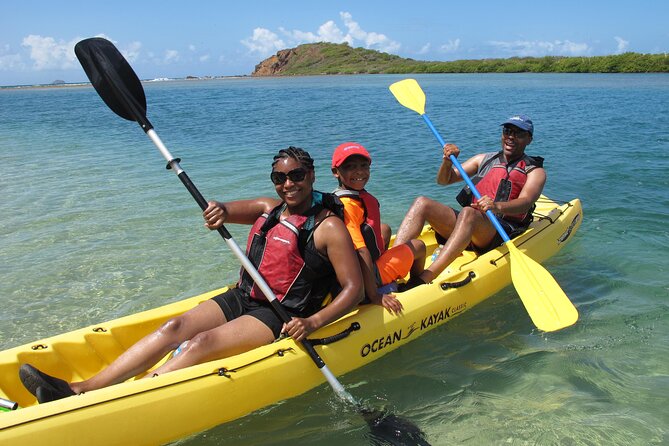 Cas Cay - Kayak Hike and Snorkel Adventure - Kayaking Through Red Mangrove Islands