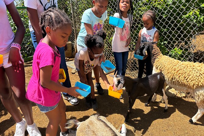 Connors Farms Petting Zoo - A closer look at the two-and-a-half-hour schedule