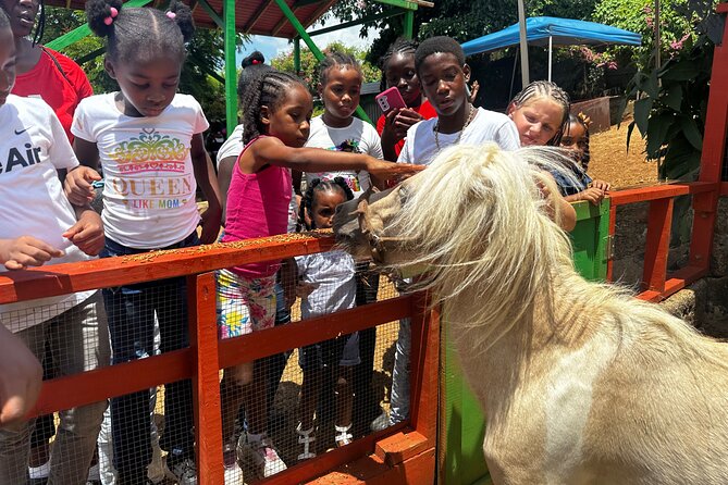 Connors Farms Petting Zoo - The drive from Fortuna Road to the farm