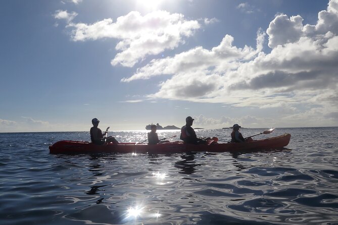 Coral Reef and Turtle Discovery Tour - What This St. Thomas Water Tour Is Really Like