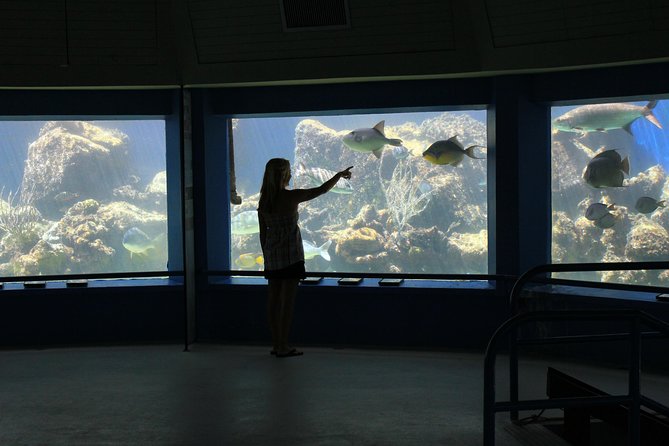 Coral World Ocean Park General Admission Ticket - Start at Coki Point Beach