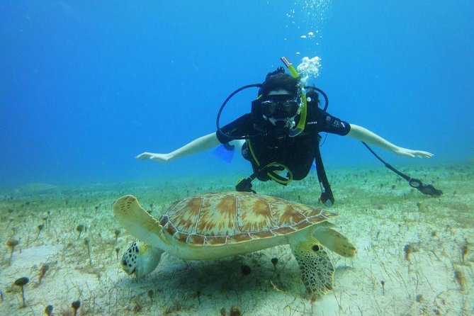 Discover Scuba Diving with No Certification in St Thomas - From Saga Haven Marina to your first breath underwater