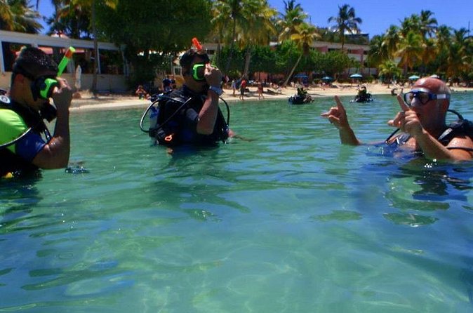 Discover Scuba Diving - What you may see underwater