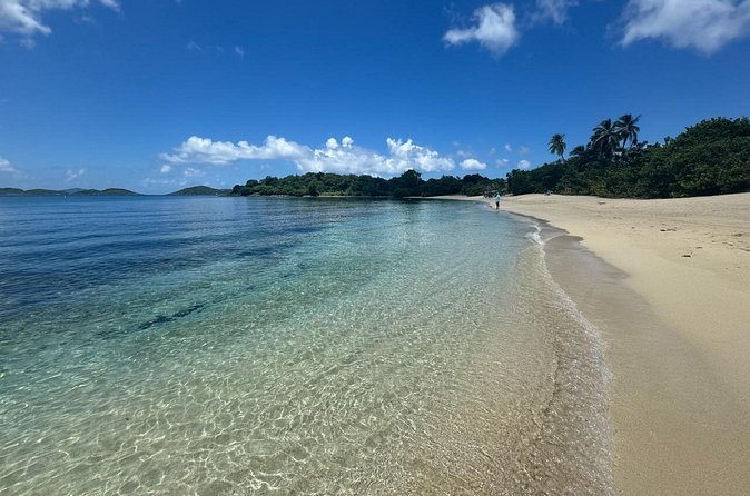 Explore St. John, Beaches and National Park Private Tour - Timing for St. Thomas and cruise visitors
