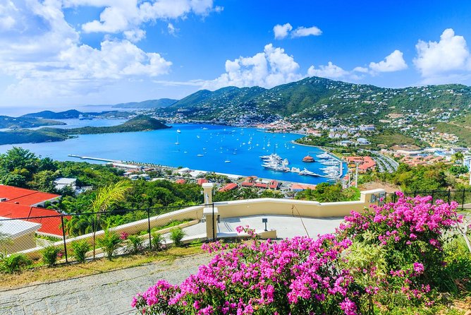 Flavors of St Thomas Walking Food Tour - Food Stops That Explain the Island