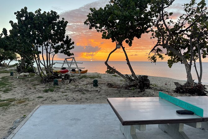 Frederiksted Moke Tour - Best for cruise ship schedules and small groups