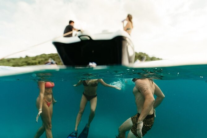 Full-Day Private Boat Charter from St. John or St. Thomas - Maho Bay starts the day with sea turtles