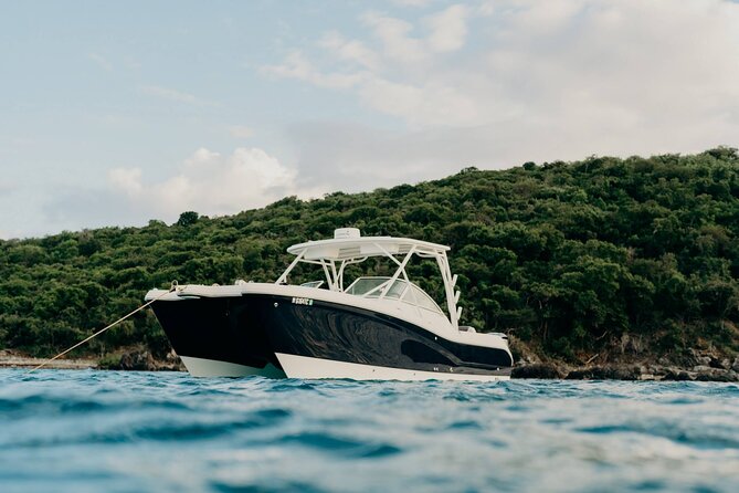 Full-Day Private Boat Charter from St. John or St. Thomas - Waterlemon Cay brings coral and clearer snorkeling goals