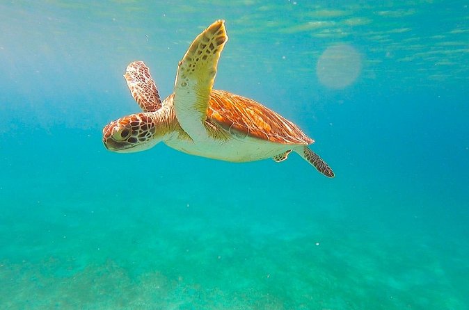 Full-Day Sailing Tour in Virgin Islands National Park - Who will enjoy this trip most?