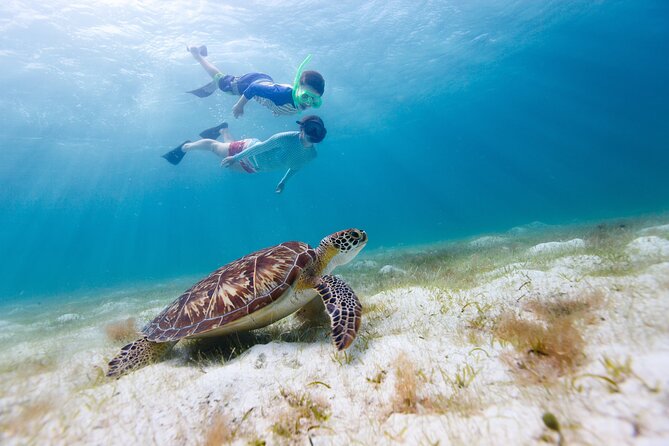 Full or Half Day Private Power Catamaran- USVI Beach and Snorkel - A private day from Red Hook to St. John