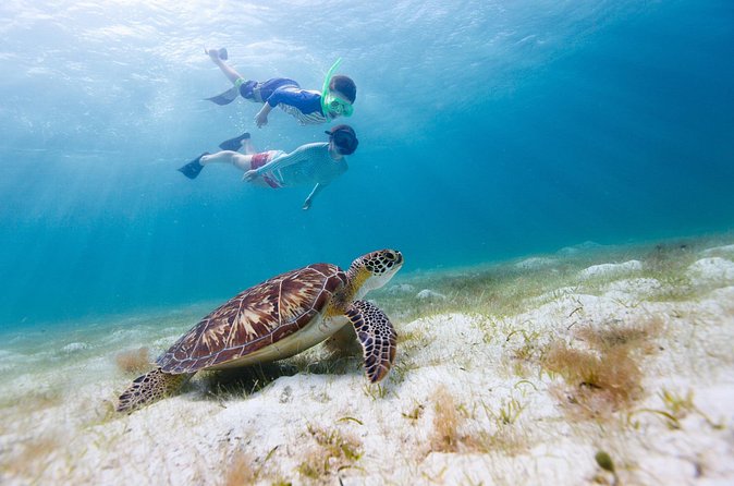 Full or Half Day Private Power Catamaran- USVI Beach and Snorkel - The real price of a private catamaran