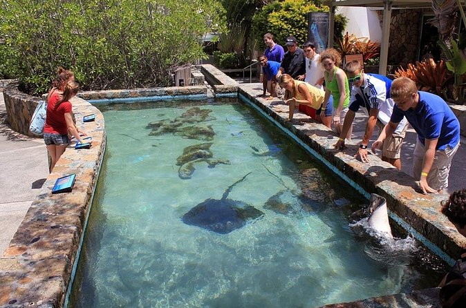 Guided Tour of Coral World Ocean Park & Happy Hour - What the happy hour adds, and what to confirm