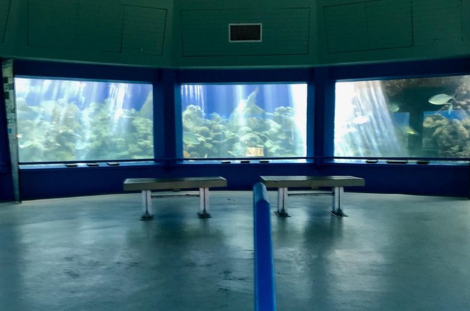 Guided Tour of Coral World Ocean Park & Happy Hour - Booking, weather, and cancellation advice