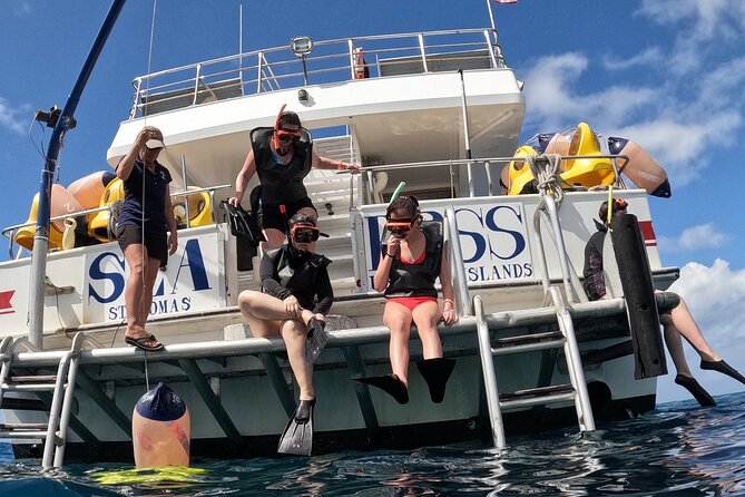 Guided Underwater Scooter and Snorkeling Activity in St. Thomas - Snorkeling around fish, coral, and possible wrecks