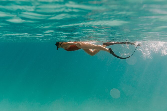 Half Day Boat Charter around the Islands of St Thomas and St John - Adding Lime Out or Pizza Pi