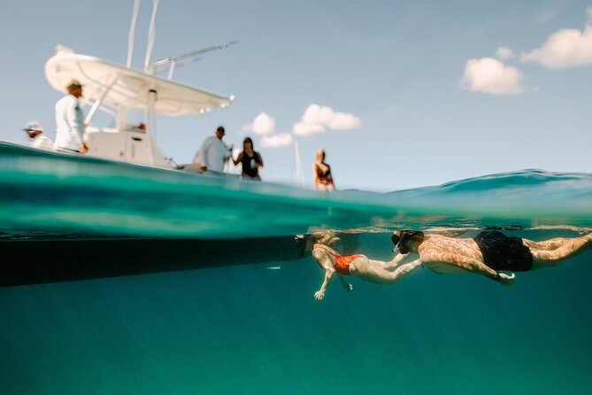 Half Day Boat Charter around the Islands of St Thomas and St John - What the captains bring to the day