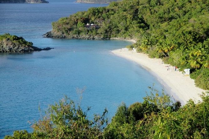 Half-Day Excursion to Trunk Bay Beach - Key points to know before booking