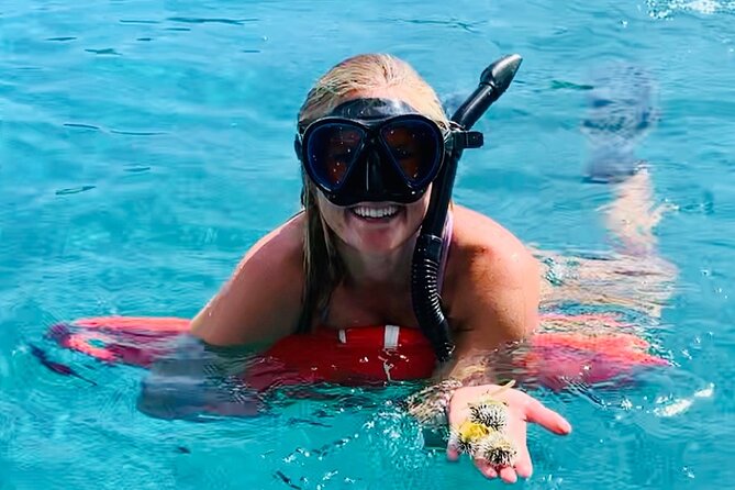 Half Day Luxury Catamaran Turtle Snorkel And Beach - Why the small boat matters in St. Thomas