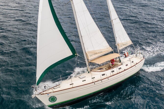 Half Day Sail and Snorkel with the Turtles - Why the 25-person limit matters