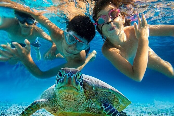 Half Day Snorkeling Tour from Margaritaville - Is $132 a fair price for a half-day?