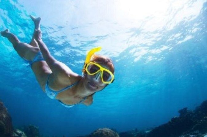 Half Day Snorkeling Tour from Margaritaville - Who will enjoy this St. Thomas snorkeling trip?