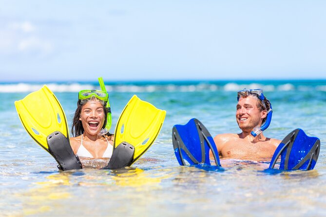 Half Day Snorkeling Tour from Margaritaville - Booking, cancellation, and practical preparation