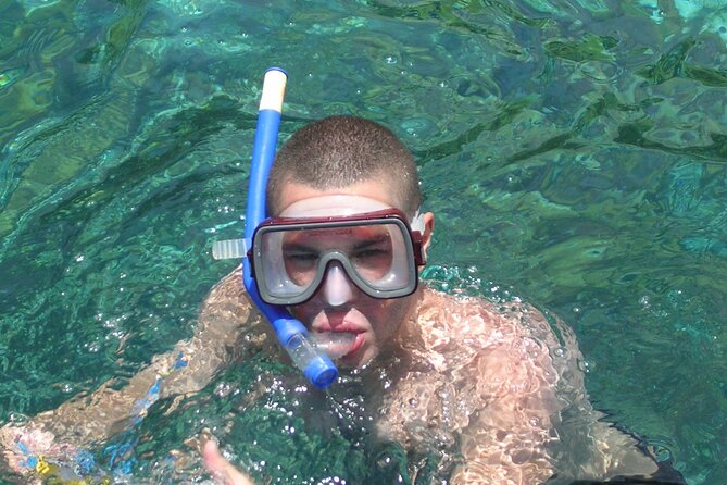 Half Day Snorkeling Tour from Margaritaville - Should you book the Margaritaville half-day charter?