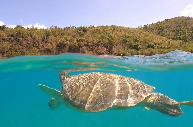 Half or Full-Day Private Boat Charter from St. John or St. Thomas - What the $795 price really buys you