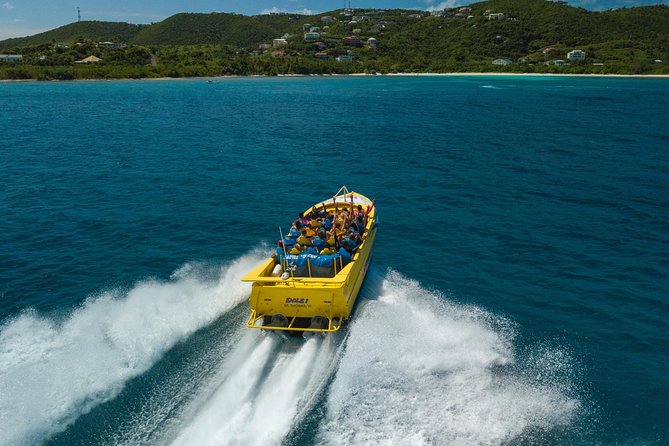 High Speed Harbor Tour from Charlotte Amalie Cruise Port - Who should choose this ride?