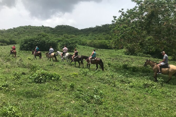 Horseback Riding Experience - A relaxed way to see St. Croix on horseback