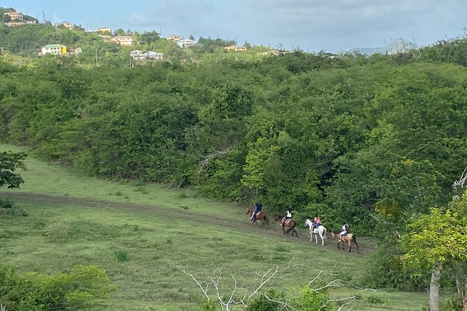 Horseback Riding Experience - Through rainforest, pasture, and open hill views