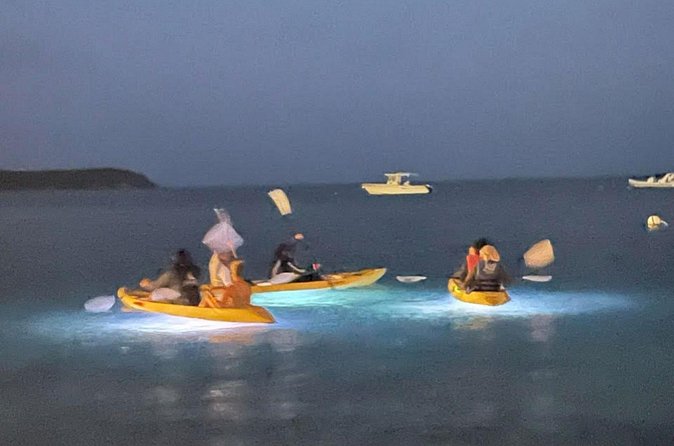 Illuminated Night Kayaking at the Elysian Resort - Photos, Videos, and the After-Paddle Drink