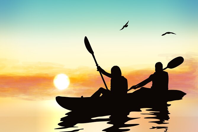 Illuminated Night Kayaking at the Elysian Resort - Launching Around Sunset