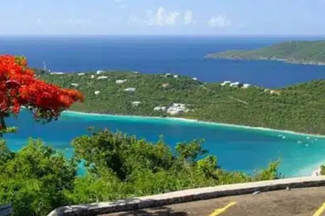 Island Buggy Excursions - What the $499 group price really buys you