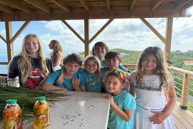 Island Eco Farm Tour with Local Treats and Sapphire Beach Time - Key points at a glance