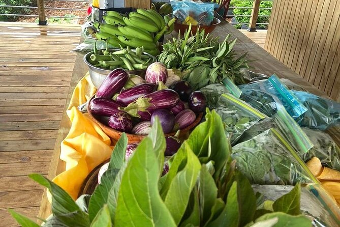 Island Eco Farm Tour with Local Treats and Sapphire Beach Time - The return taxi is the detail to plan carefully