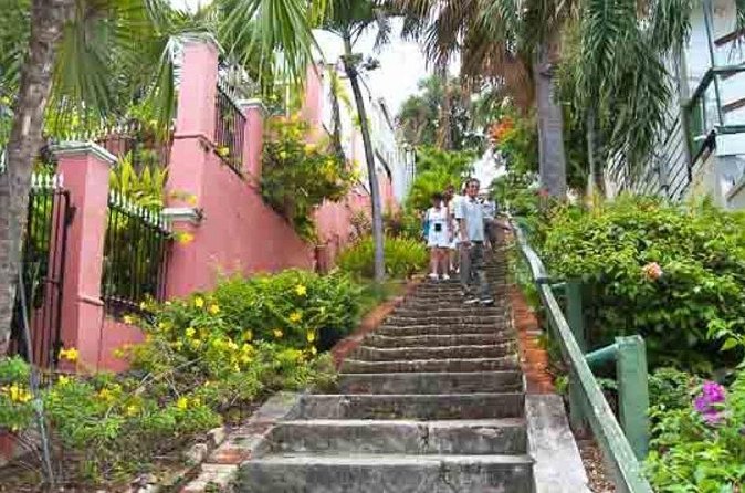 Island Icons & Treasures Tour - St. Thomas USVI - Who Will Get the Most From This Tour