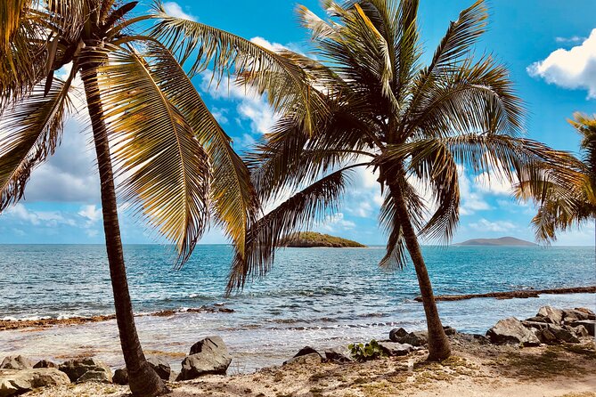 Island Life Jeep Tours - Your Day Your Way Private Excursion! - Snorkeling with supplied gear