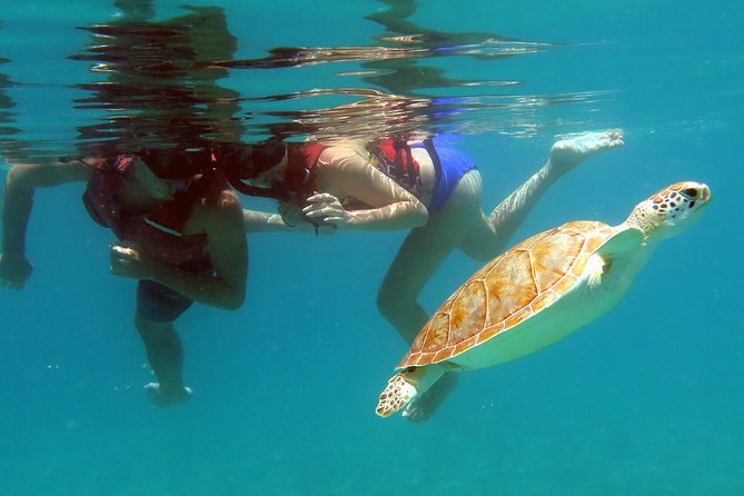 Kayak and Sea Turtle Snorkel with Beach Break - What the four-hour outing feels like