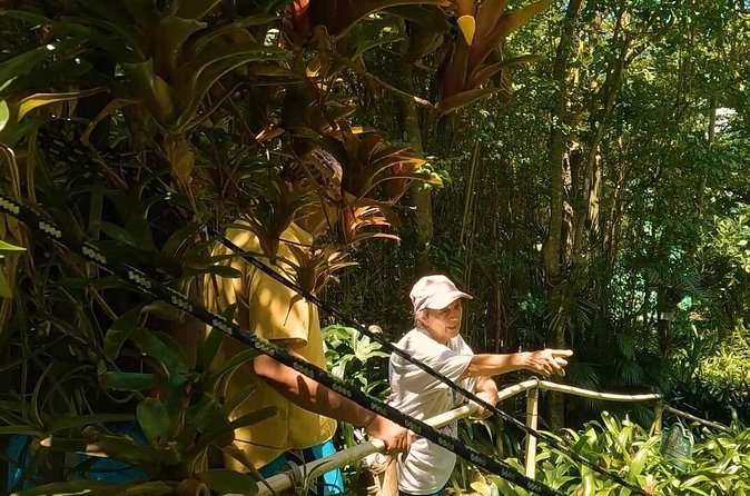 Luxury Private Tour in ST.Thomas(6per group) - Mountain Top adds souvenirs and a banana daiquiri