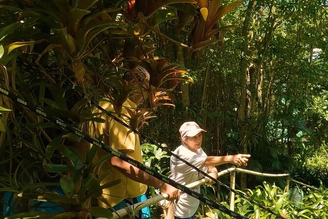Luxury Private Tour in ST.Thomas(6per group) - Price, vehicle comfort, and what you are really buying