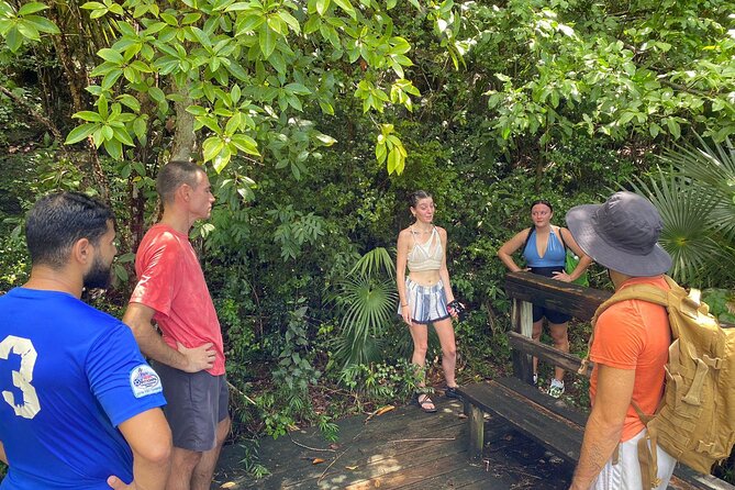 Magens Bay Trail Hiking Tour - Starting Above Magens Bay on St. Thomas