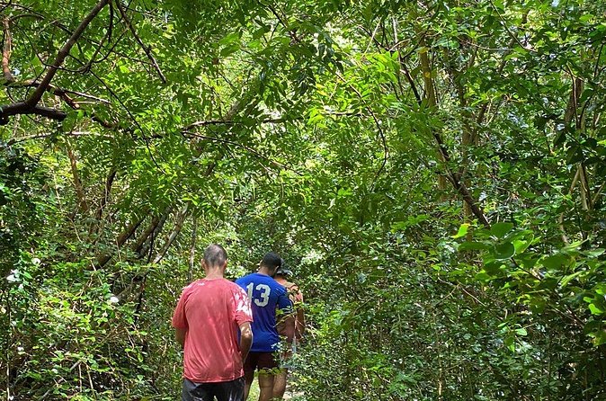 Magens Bay Trail Hiking Tour - The Climb Back to the Trailhead