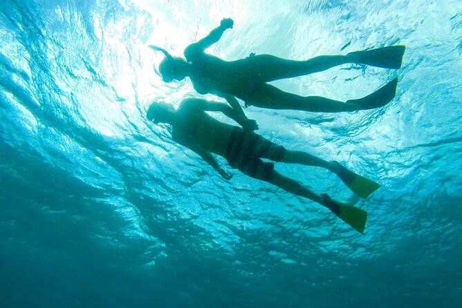 Maho Bay Turtle Snorkel with Lunch and Bar at Frenchman's Reef - Picnic lunch and the open bar